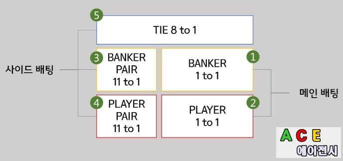 바카라 배팅배당 및 사이드 배팅배당